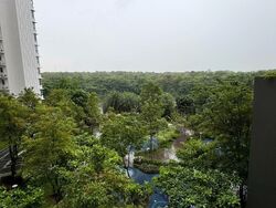 Blk 477A Hougang Capeview (Hougang), HDB 5 Rooms #504385781